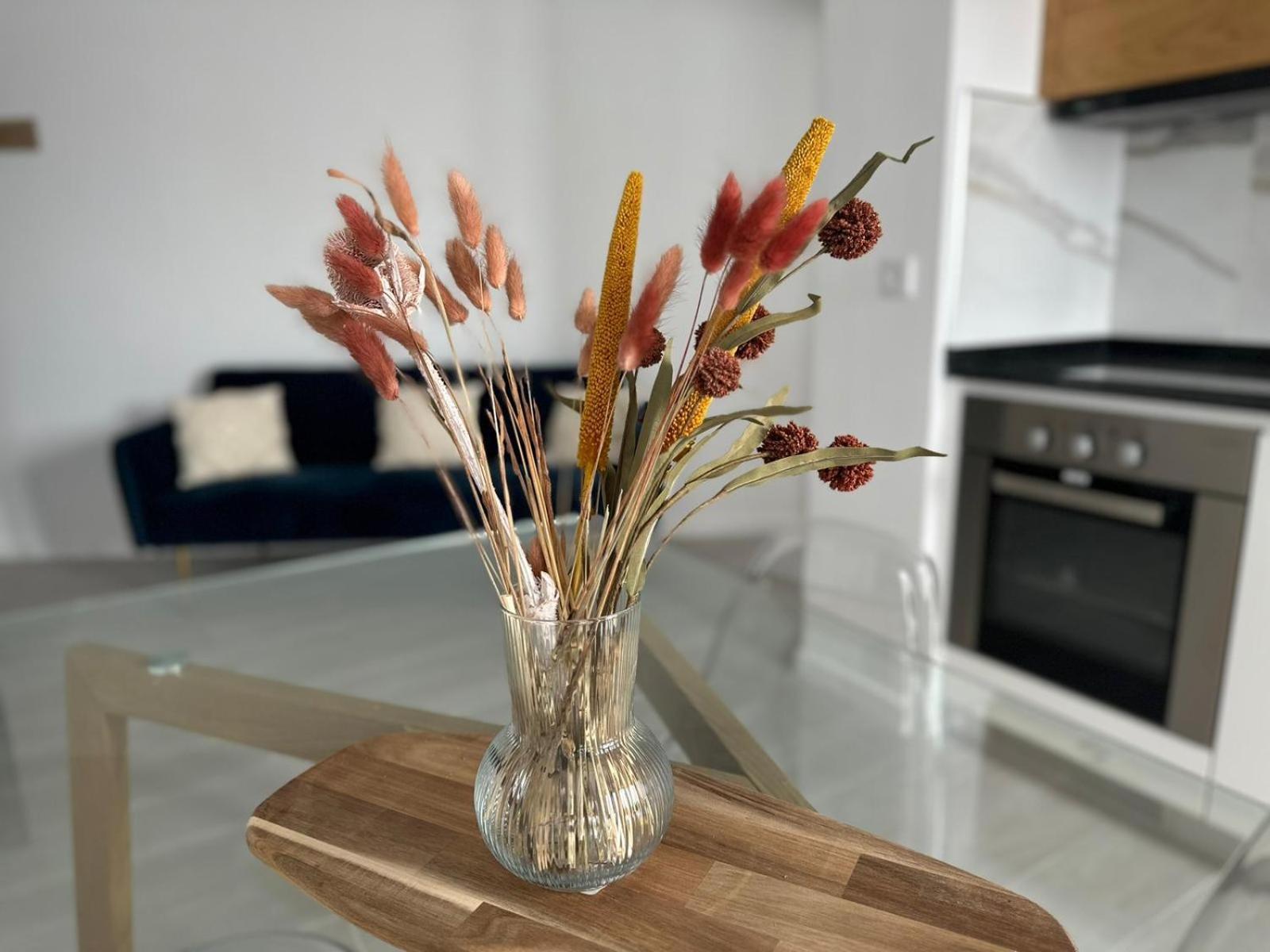 Marinho'S Oporto Apartments Ngoại thất bức ảnh